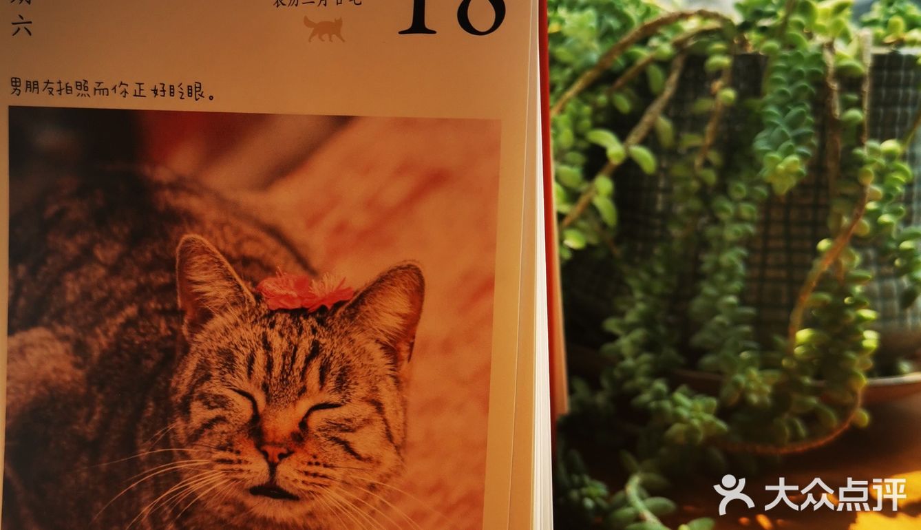 水牛芝士pizza！