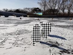 -北陵公园