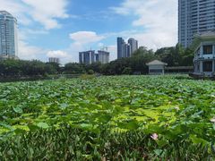 -荔湾湖公园