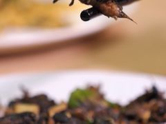 -红炎炎农家菜老字号(金水台店)