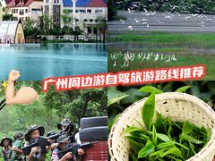 -美的鹭湖森林度假区