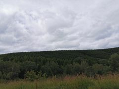 -御道口草原森林风景区