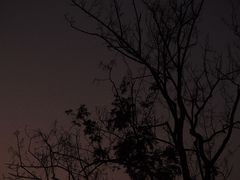 -白鹭湾湿地公园