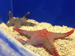 -洛阳龙门海洋馆