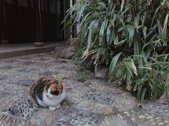 -西园戒幢律寺