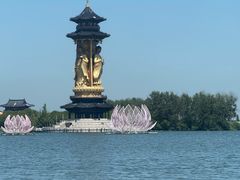 -溱湖国家湿地公园