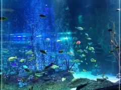 -沈阳海洋探索中心