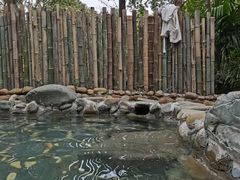 -悦兮半岛温泉度假酒店·餐厅部