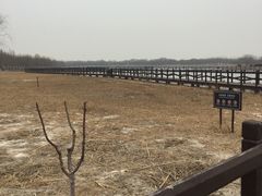 -西青郊野公园