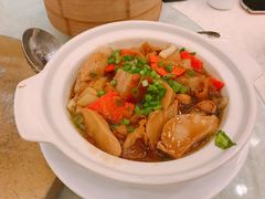 海参焖鱼唇-龙的酒楼·手工早茶·顺德菜(近良路店)