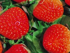 -百果园PAGODA(中铭豪园店)