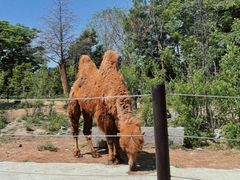 -济南野生动物世界