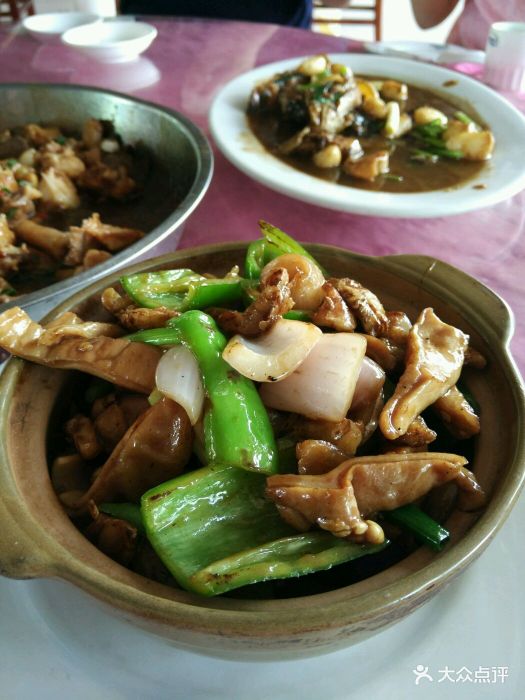 肥佬光农庄-图片-新兴县美食-大众点评网