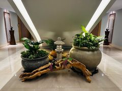 -大梅沙游艇度假酒店