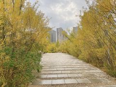 -成吉思汗公园