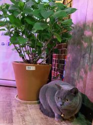 -青木造型HAIR·あおき髪を刈る潮人店