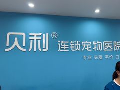-贝利宠物医院·骨科·眼科·肿瘤转诊中心(南坪诊疗中心)