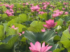 -云龙湖旅游景区