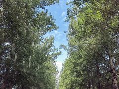-孤山寨风景区