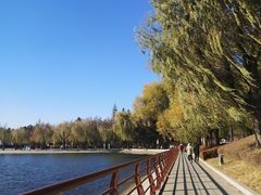 -长春市南湖公园