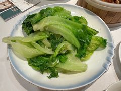 白灼田园菜心-藜苑酒家·粤菜·茶点·聚会包间