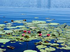 -长春市南湖公园