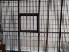-浅深Cheersum(曹杨店)