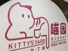 -喵园·猫主题咖啡厅·撸猫·猫咖(国贸店)