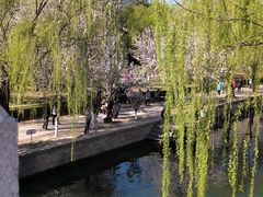 -元大都城垣遗址公园