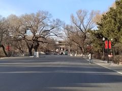 -北陵公园