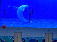 -石家庄极地海洋世界