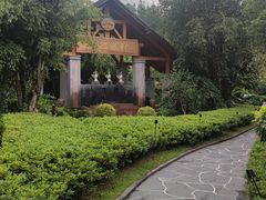 -腾冲洞山温泉村