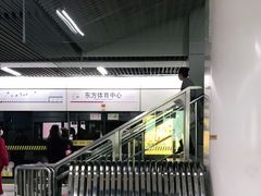 -东方体育中心(地铁站)