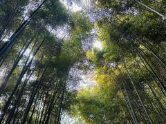 -苏州环秀晓筑养生度假村