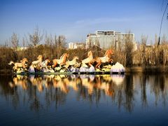 -伊犁河景区