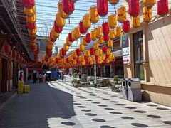 -洋湖国家湿地公园