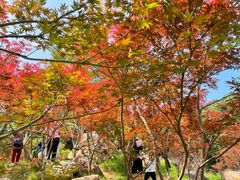 -广州市帽峰山景区