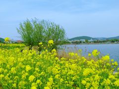 -云龙湖旅游景区