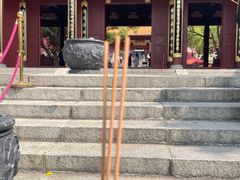 -深圳仙湖植物园