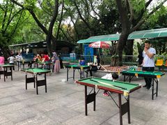-晓港公园