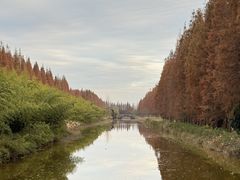 -黄海国家森林公园