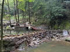 -牛背梁国家森林公园
