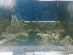 -蚝专家(北滘店)