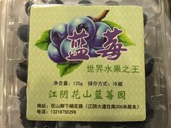 -花山蓝莓采摘园