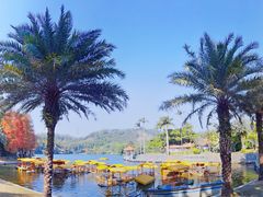 -深圳仙湖植物园