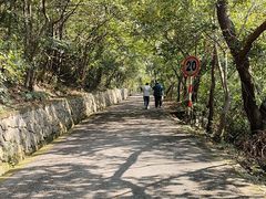 -紫金山山顶公园
