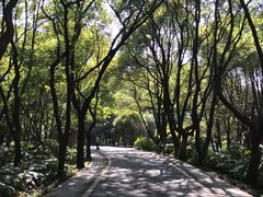 -东湖落雁景区