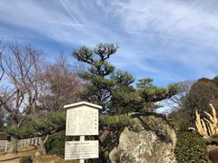 -名古屋城