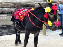 -陕西黄河壶口瀑布旅游区