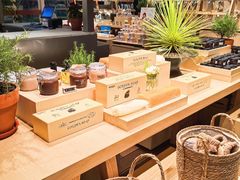 -春晖园度假酒店温泉